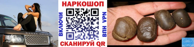 МЕФ Рассказово