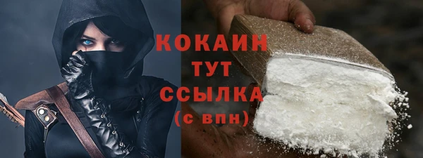 тгк Лагань