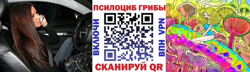 Псилоцибиновые грибы мицелий  закладка  Рассказово 